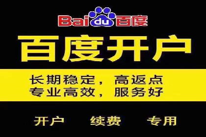 行业首例：SEM竞价优化案例的成效与启示